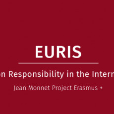 European Union Responsibility in the International System [EURIS]